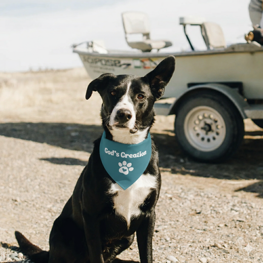 God's Creation Pet bandana collar (Large & X-Large)