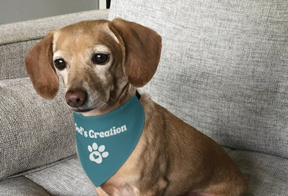 God's Creation Pet bandana collar (Large & X-Large)